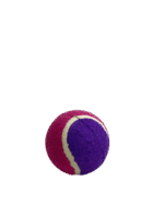 Pelota de tenis con huellas 10cm - Imagen 3