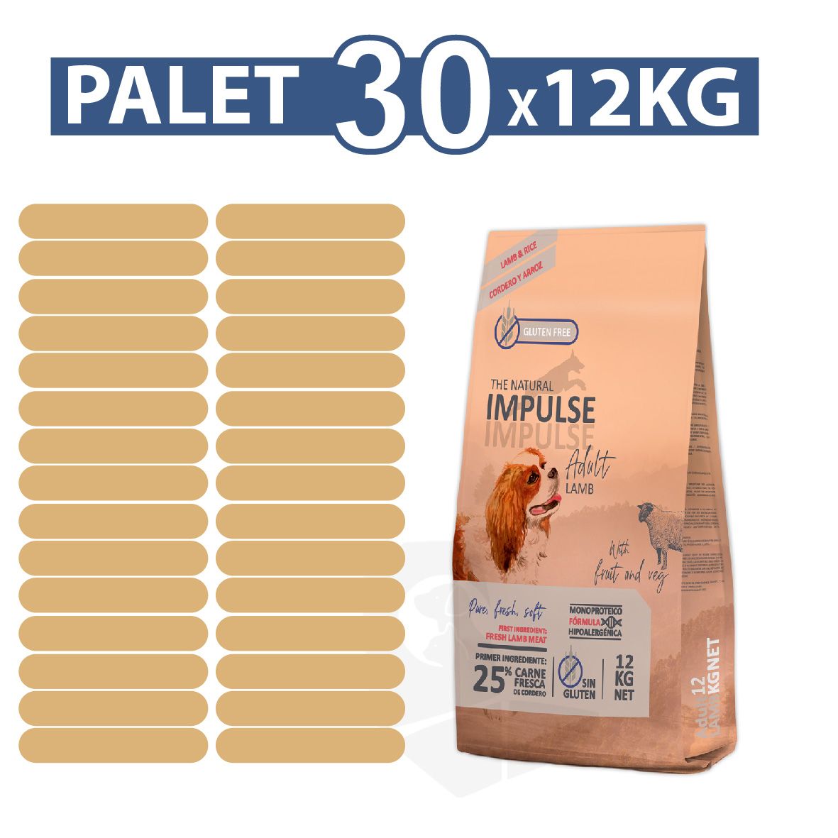 1040003 PL