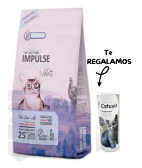 Promo