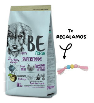 Promo