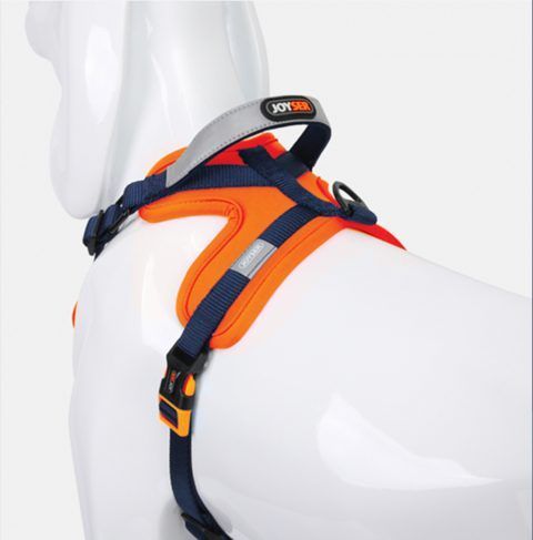 Arn&eacute;s neopreno-nylon JOYSER. Talla M. Color &uacute;nico - Imagen 2