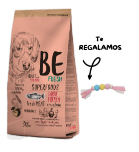Promo