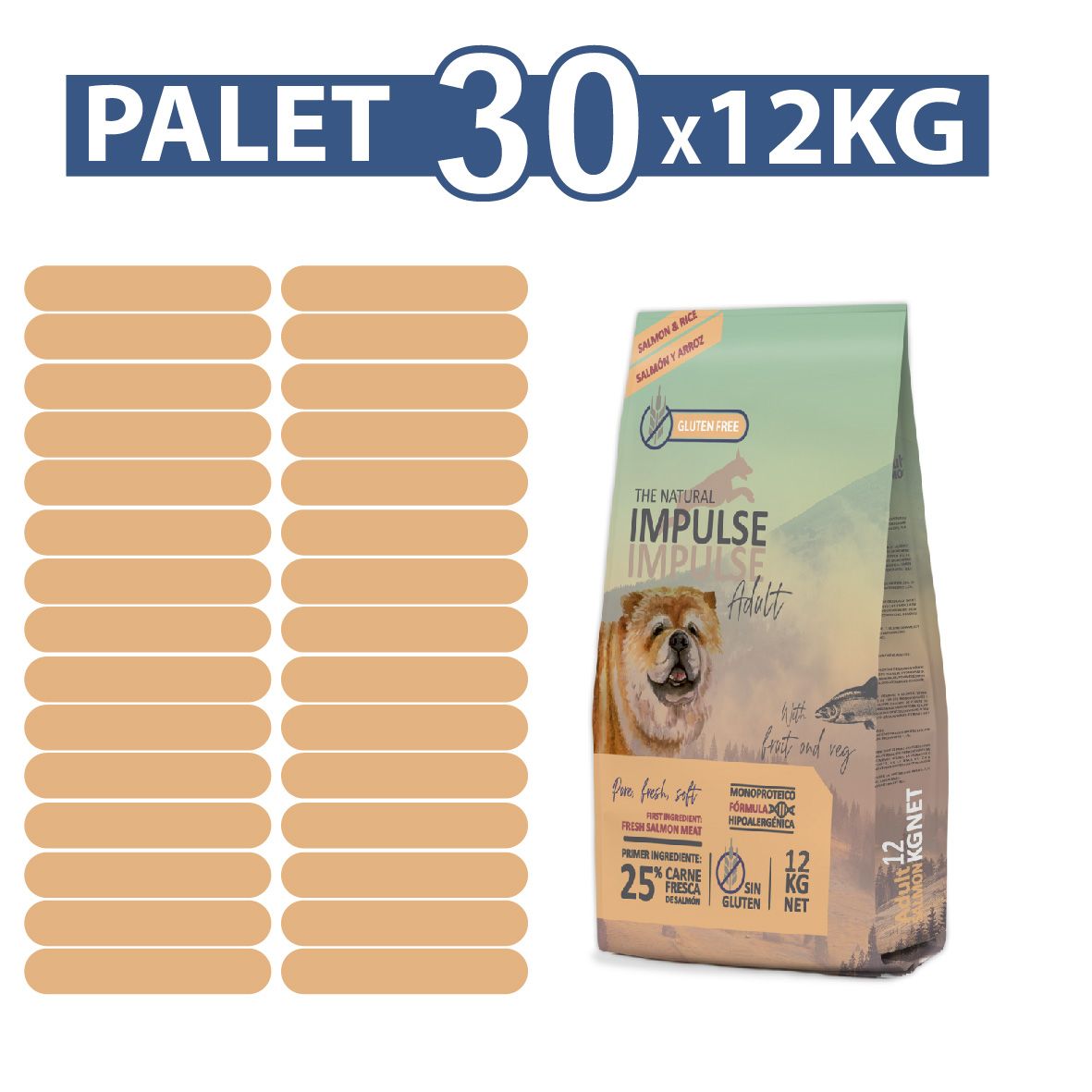 1040010 PL