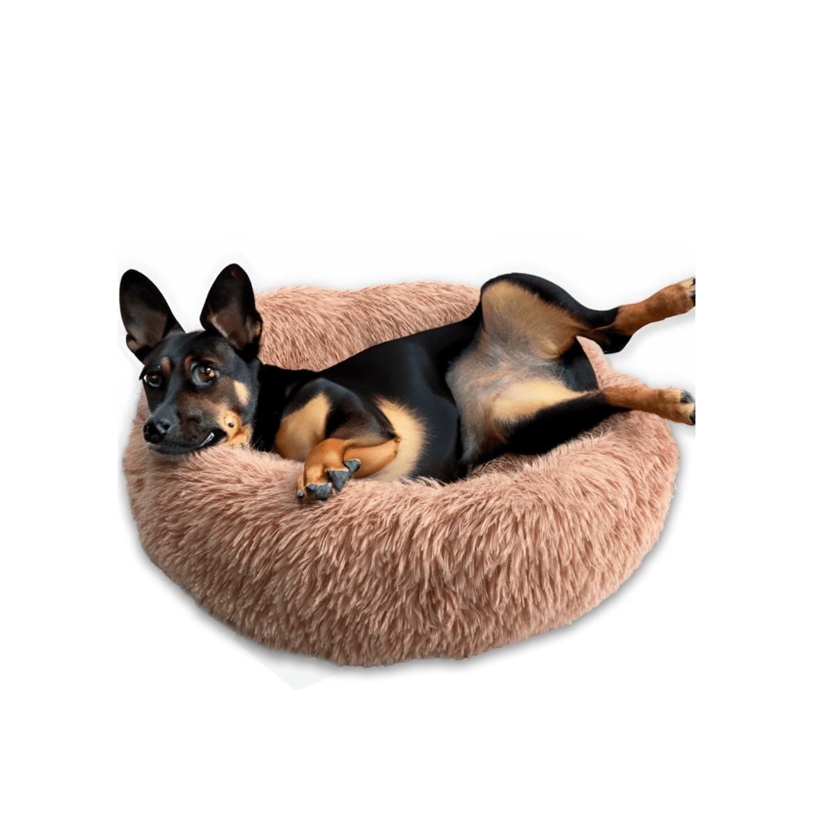 CUNA DONUT ANTIESTRES ROSA PALO TALLA M (60CM)