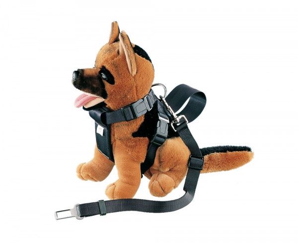 Arnes con cinturon de seguridad para coche negro talla S; cuello: 15-53 cm; cintura: 16-61