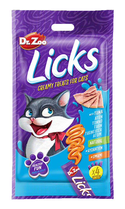 Mockup DrZoo Licks Gato Bolsa ATUN 1 1