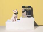 LUUKS UP COCO Cat Litter 6L - Imagen 2