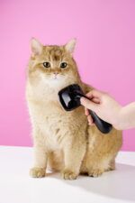 LUUKS UP GROOMING Air Cushion Comb - Imagen 8