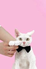 LUUKS UP WIPES Cleaning - 80 uds - Imagen 3