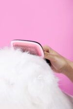 LUUKS UP GROOMING Air Cushion Comb - Imagen 3