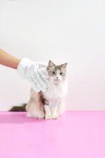 LUUKS UP WIPES Gloves - 4 uds - Imagen 5