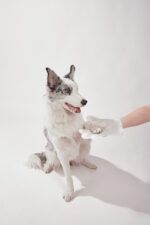 LUUKS UP WIPES Gloves - 4 uds - Imagen 8
