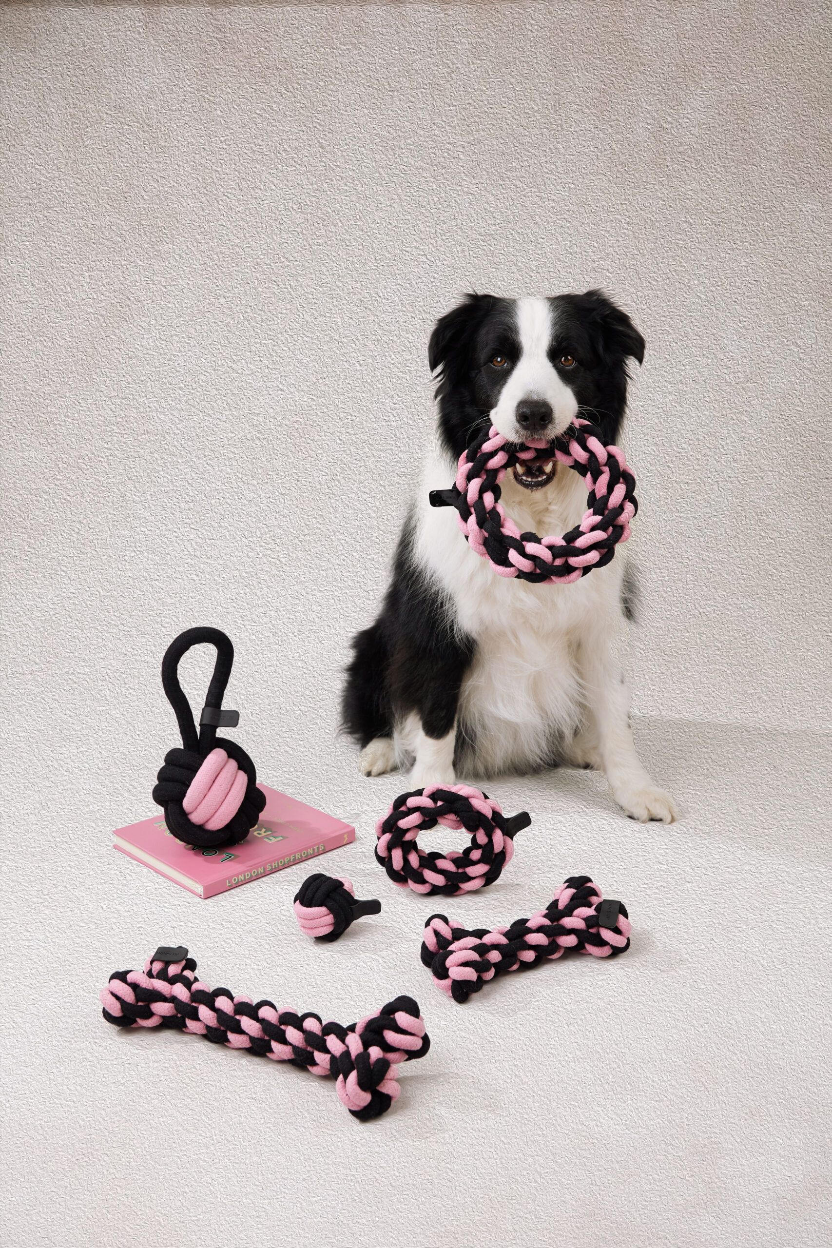 LUUKS UP ROPE Dog Toy Ball With Handle 11cm - Imagen 2