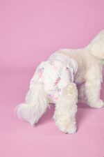LUUKS UP FEMALE Dog Diapers S - 20 uds - Imagen 3
